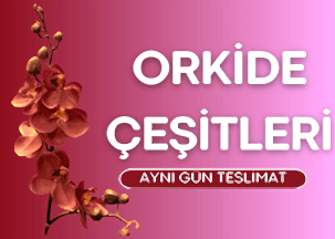 Öneçıkan Ürün